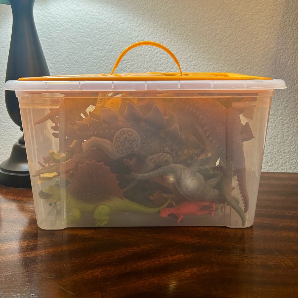 Mystery Box Of Assorted Dinosaurs